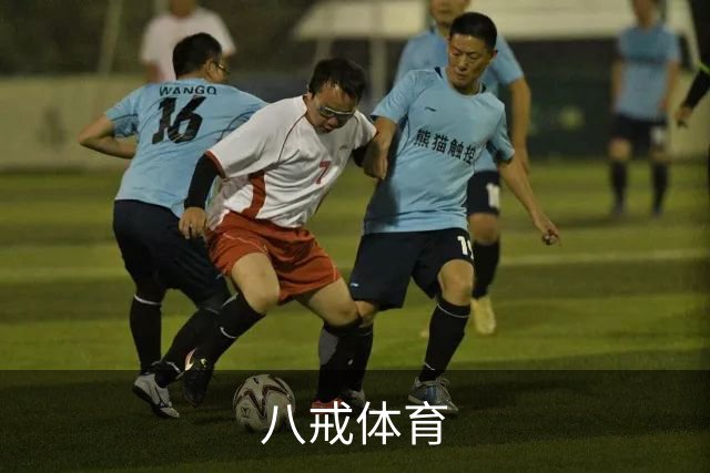 八戒体育团队及体育服务简介
